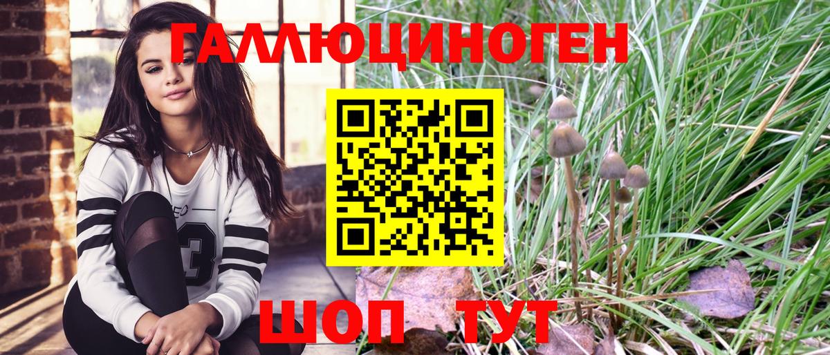 Псилоцибиновые грибы GOLDEN TEACHER  Галлюциногенные грибы мухоморы  Полысаево  Вход с VPN 